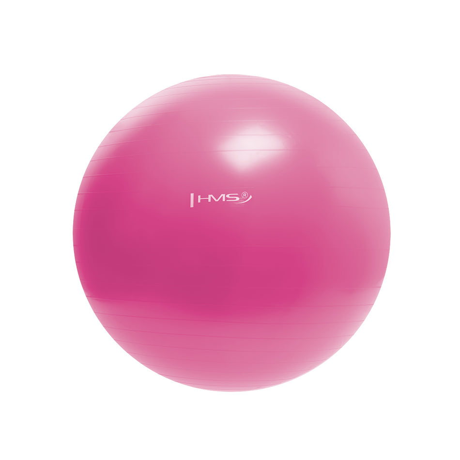 YB01N 55CM PINK GYMNASTIKBALL HMS