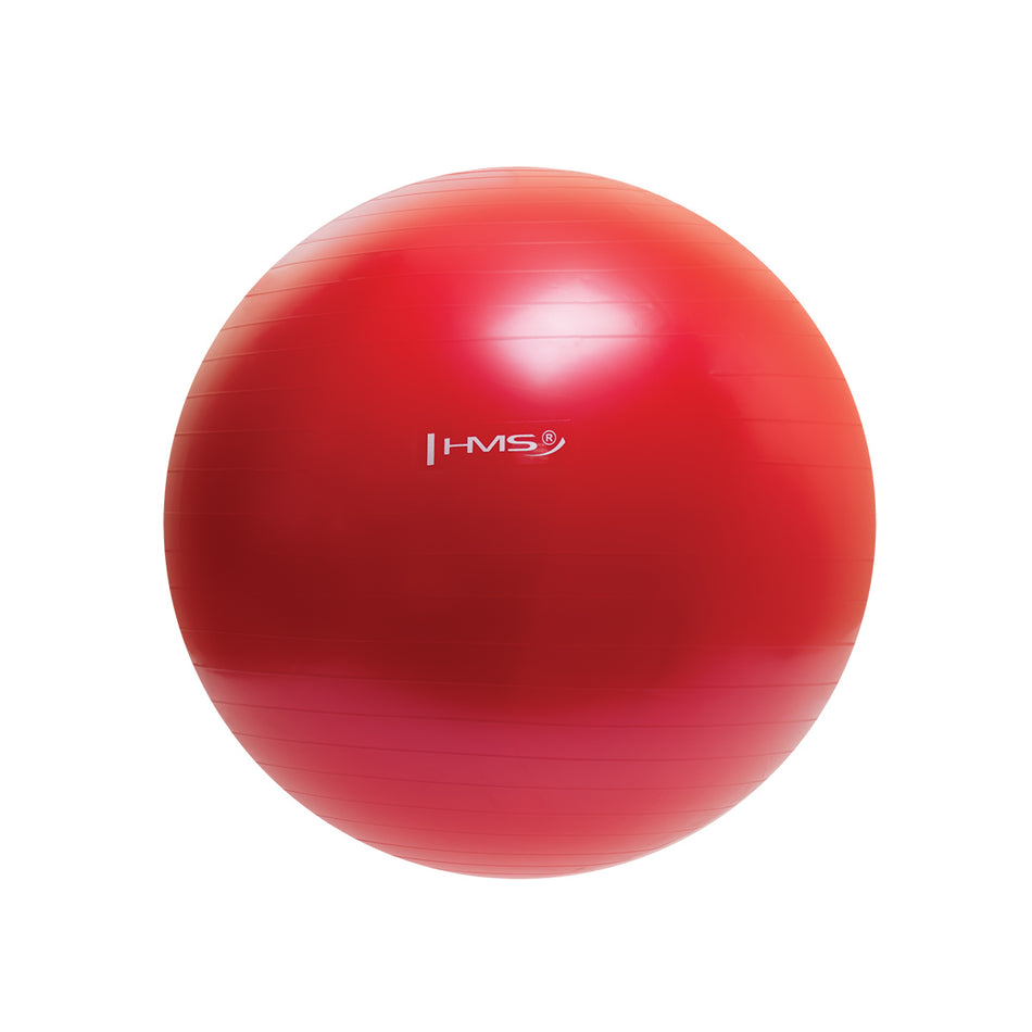 YB01N 65CM RED GYMNASTIKBALL HMS