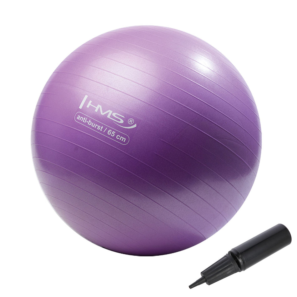 YB02N 65CM PURPLE ANTI-BURST GYMNASTIKBALL HMS