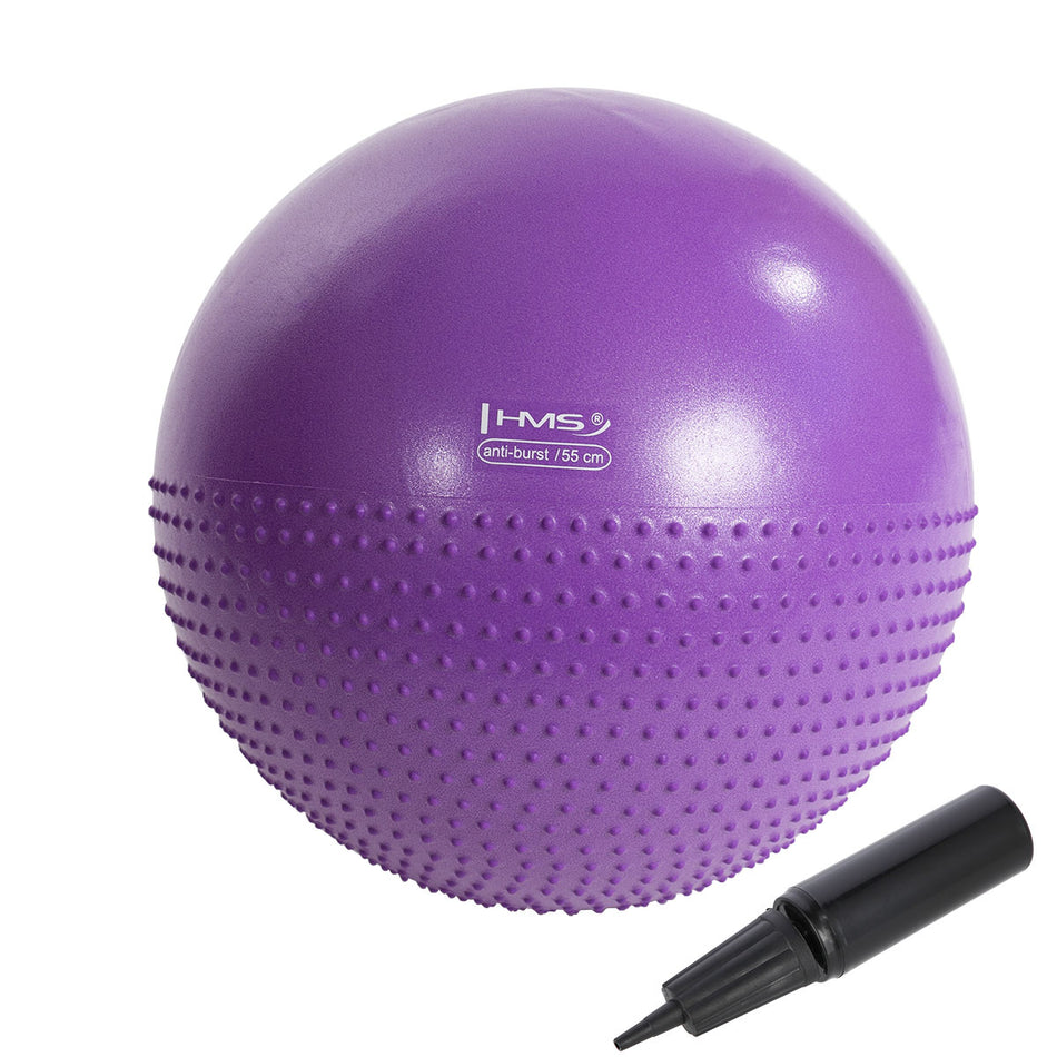 YB03N 55CM VIOLET GYMNASTIKBALL MIT MASSAGENOPPEN HMS